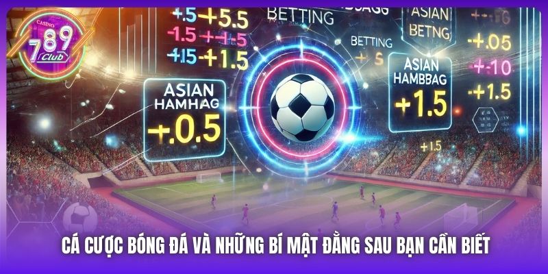 Cá Cược Bóng Đá Và Những Bí Mật Đằng Sau Bạn Cần Biết