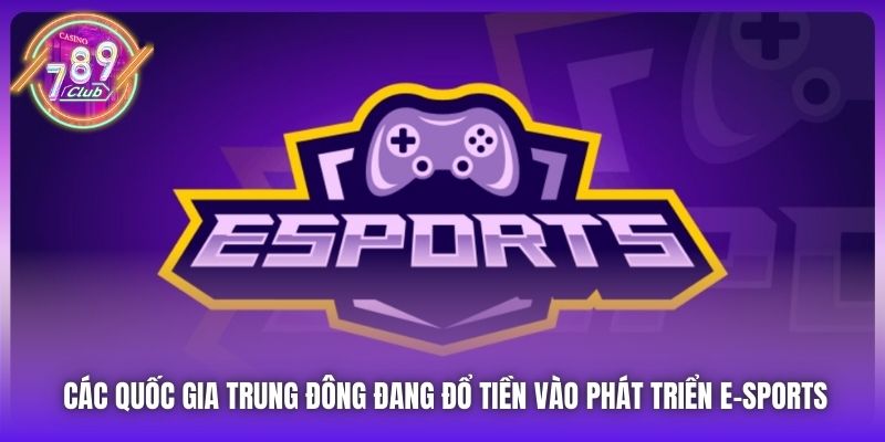 Các quốc gia Trung Đông đang đổ tiền vào phát triển e-sports