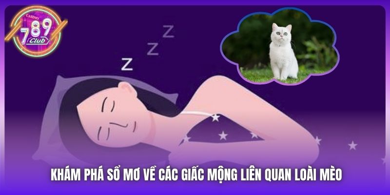 Khám phá sổ mơ về các giấc mộng liên quan loài mèo