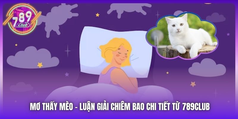 Mơ Thấy Mèo - Luận Giải Chiêm Bao Chi Tiết Từ 789Club
